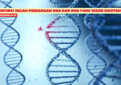 Persamaan-DNA-dan-RNA